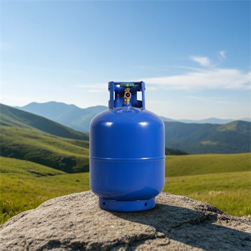 ถัง LPG ขนาด 9KG: กำลังต่อเนื่อง มีสัดส่วนที่สมบูรณ์แบบ